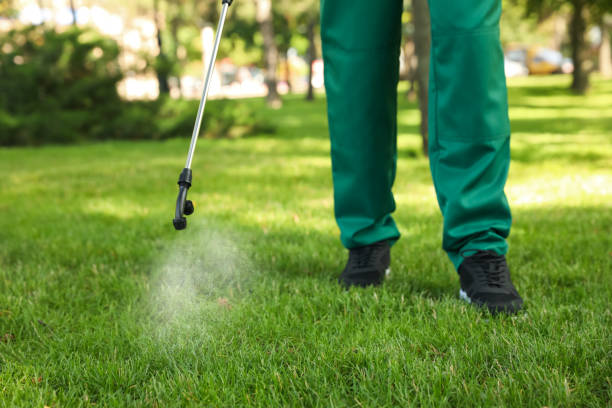 Best Wildlife Control Services  in Hyattsville, MD