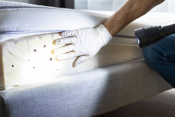 Best Pest Prevention Services  in Hyattsville, MD